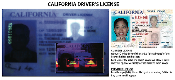california driver license number generator